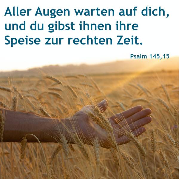 Quelle: unsplash.com/ekiba / fundus-medien.de, Fundus, redaktionell frei verwendbar, 12293